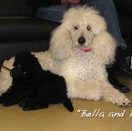 Bella and Beau Woolley